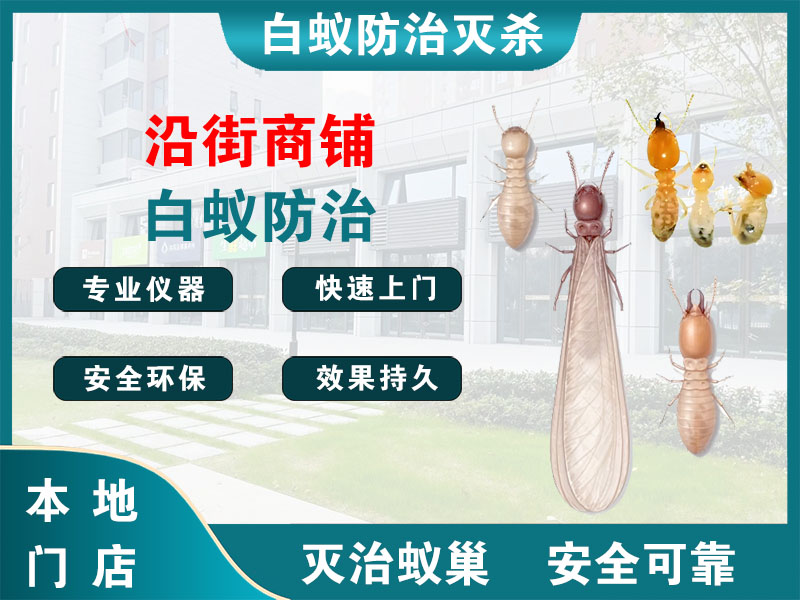 扬中市沿街商铺白蚁防治