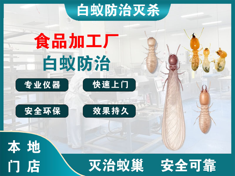 扬中市食品加工厂白蚁防治