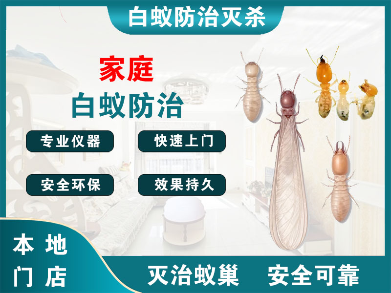 扬中市家庭白蚁防治
