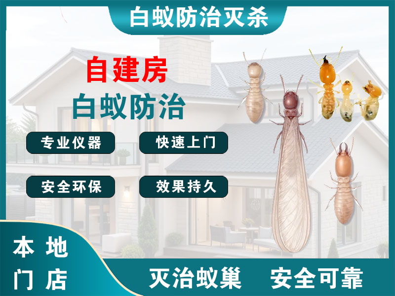 扬中市自建房白蚁防治