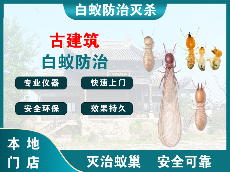 扬中市古建筑白蚁防治