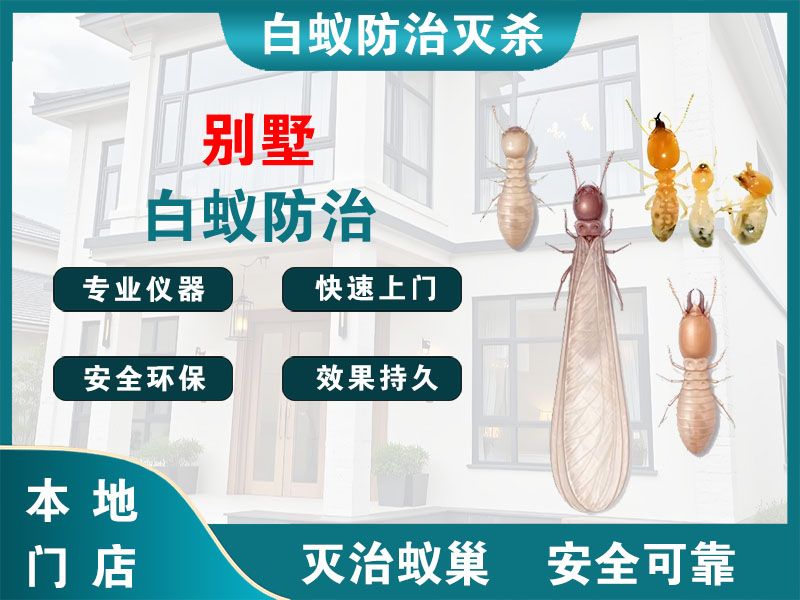 扬中市别墅白蚁防治
