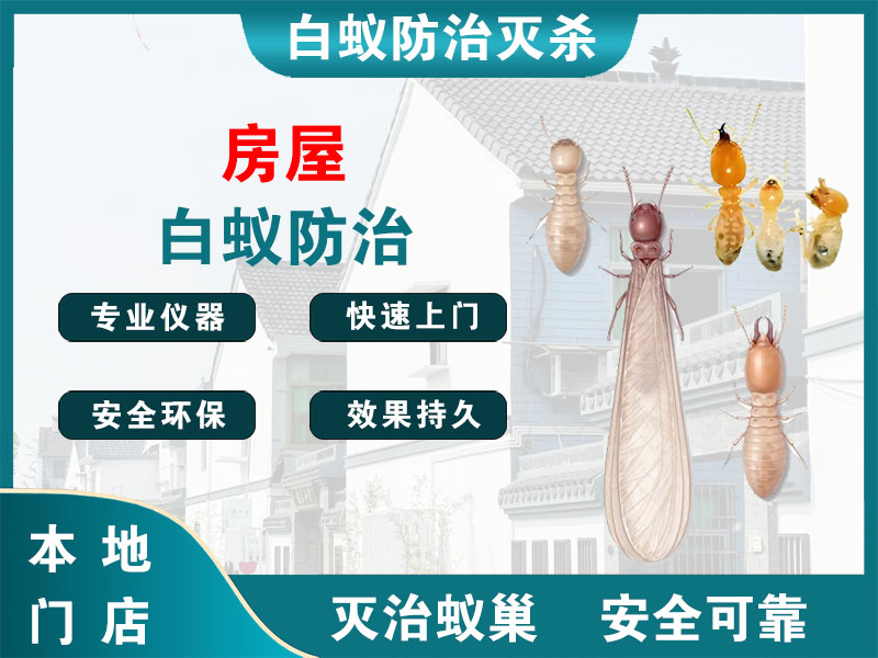 扬中市房屋白蚁防治